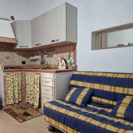 Vanni Holidays